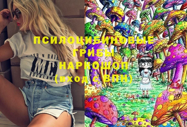 герыч Мегион