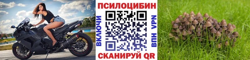 Псилоцибиновые грибы Psilocybine cubensis  mega как зайти  Реутов 