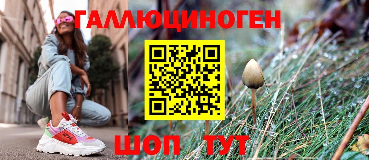 Псилоцибиновые грибы мухоморы Реутов