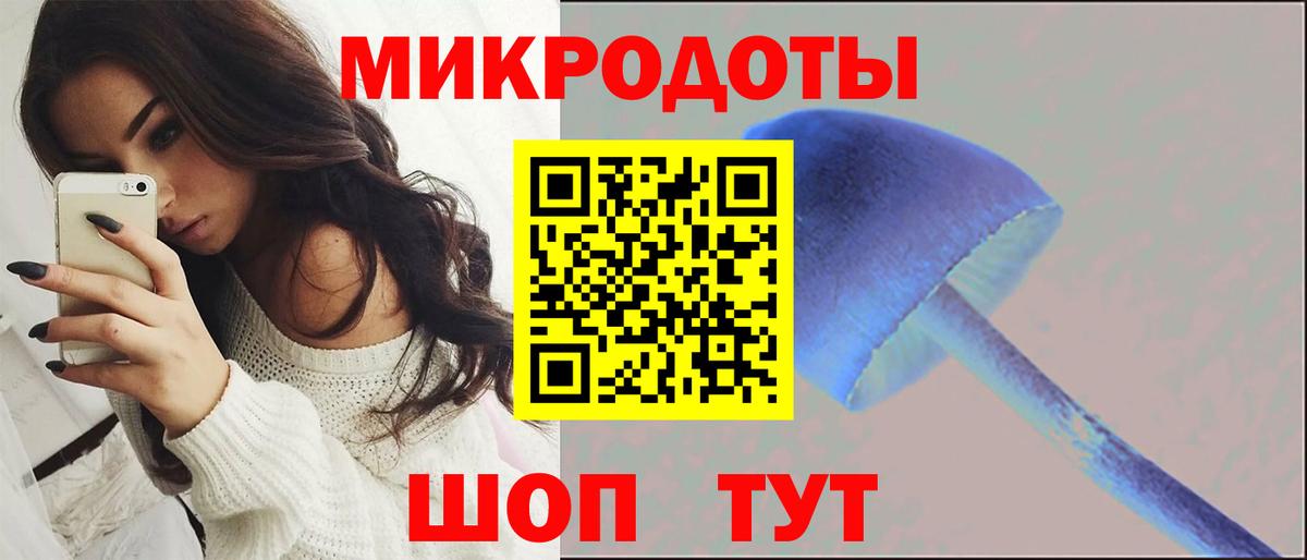 Псилоцибиновые грибы GOLDEN TEACHER  как найти наркотики  Вход с VPN  Реутов  Псилоцибиновые грибы Psilocybe 